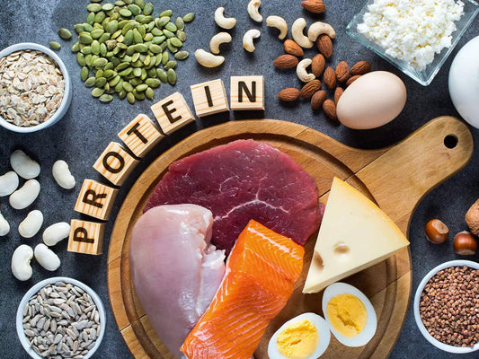 Understanding the importance of proteins and how they affect muscle growth
